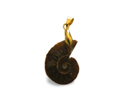 🌟 Pendentif Fossile d’Ammonite – Bijou Authentique et Unique